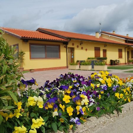 Le Terre Di Bac Bed and Breakfast Borgo Montenero Εξωτερικό φωτογραφία