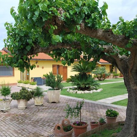 Le Terre Di Bac Bed and Breakfast Borgo Montenero Εξωτερικό φωτογραφία
