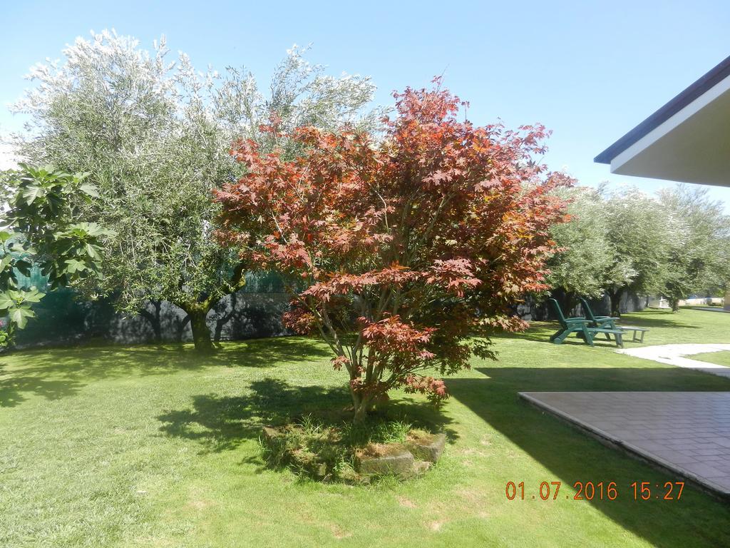 Le Terre Di Bac Bed and Breakfast Borgo Montenero Εξωτερικό φωτογραφία